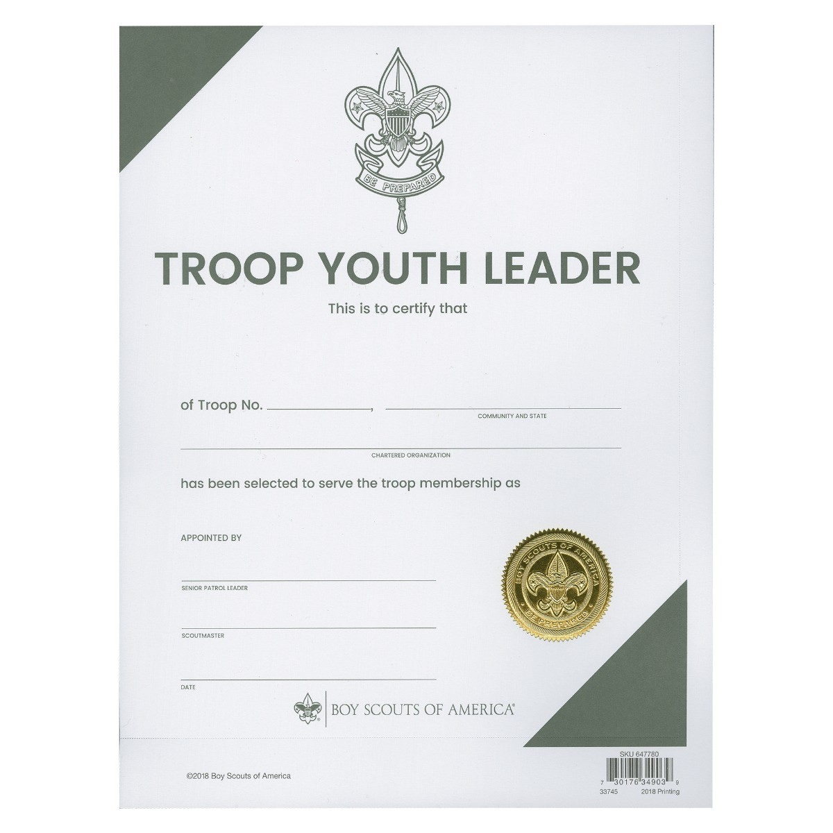 BS Troop Youth Leader Award Certificate