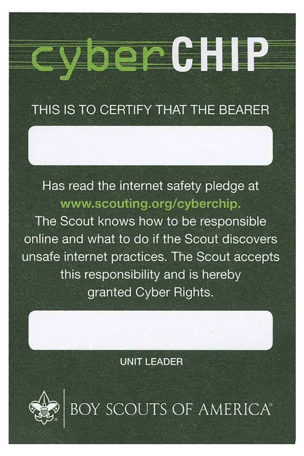 BS Cyber Chip Pocket Certificate