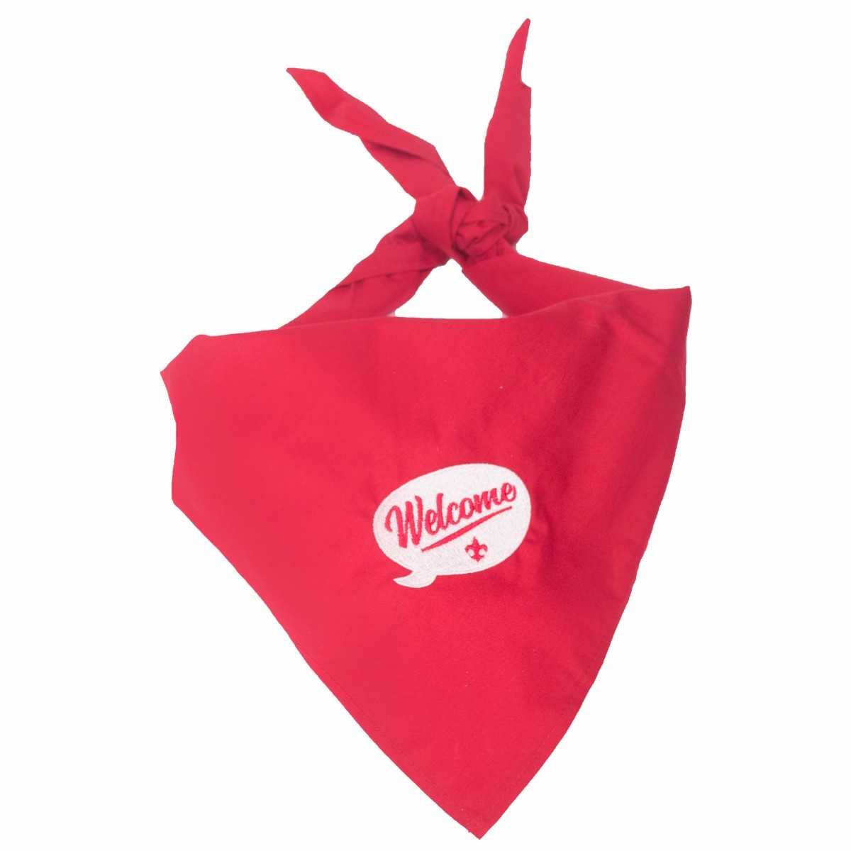 New Member Coordinator Neckerchief