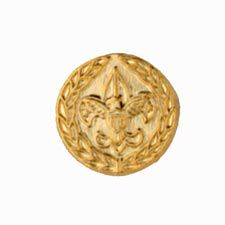 Commissioner Recognition Device Pin