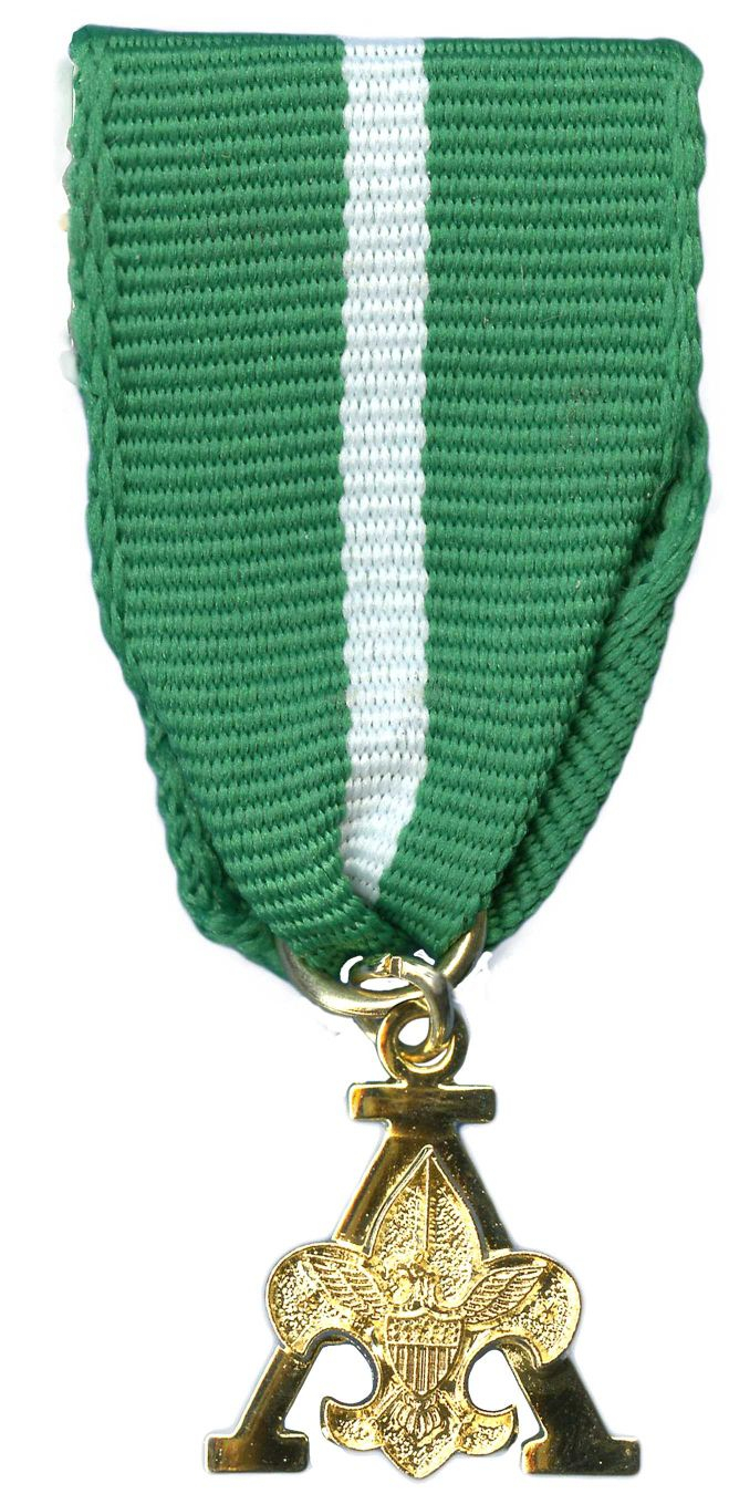Boy Scouts of America Training Award Medal