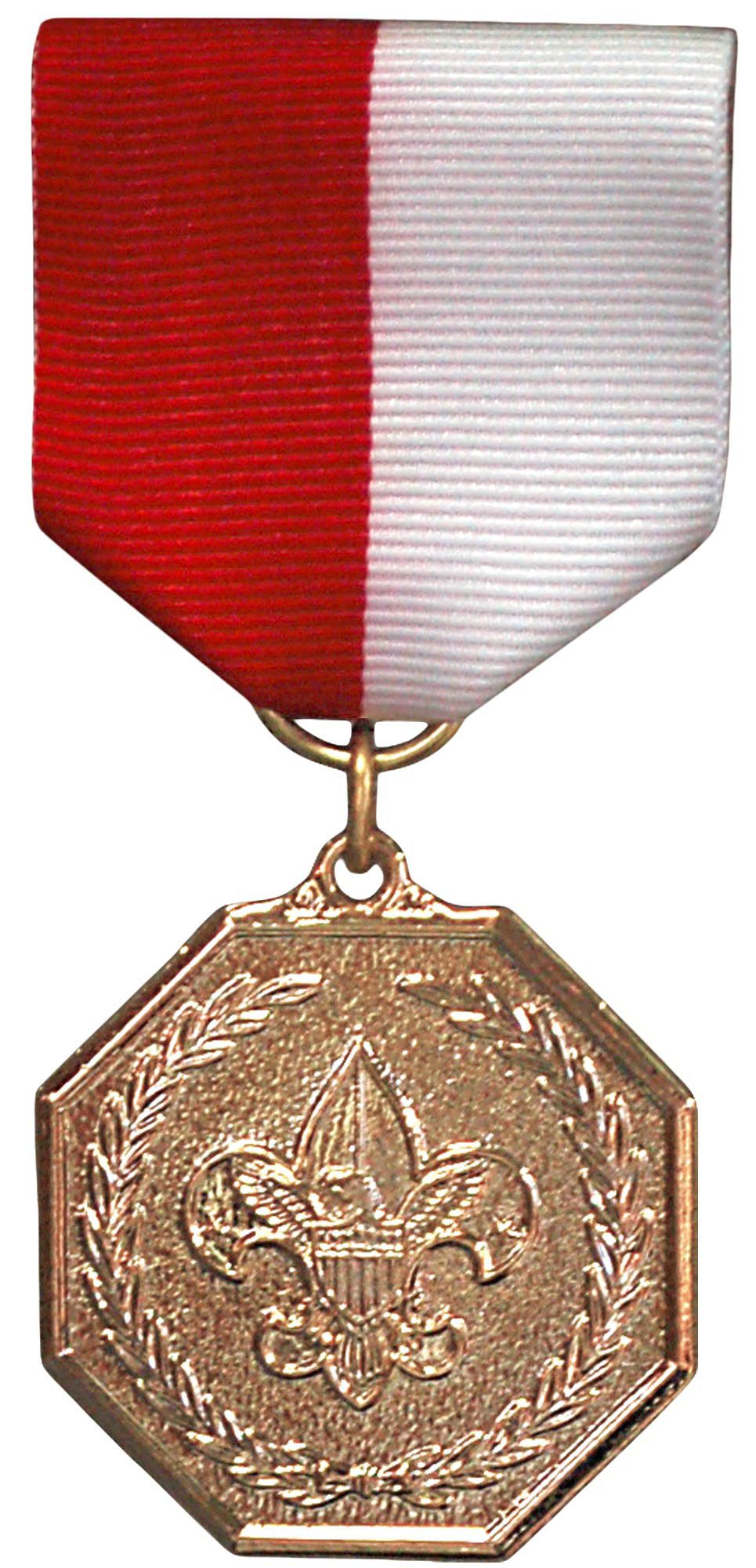 Scouts BSA Bronze Medal