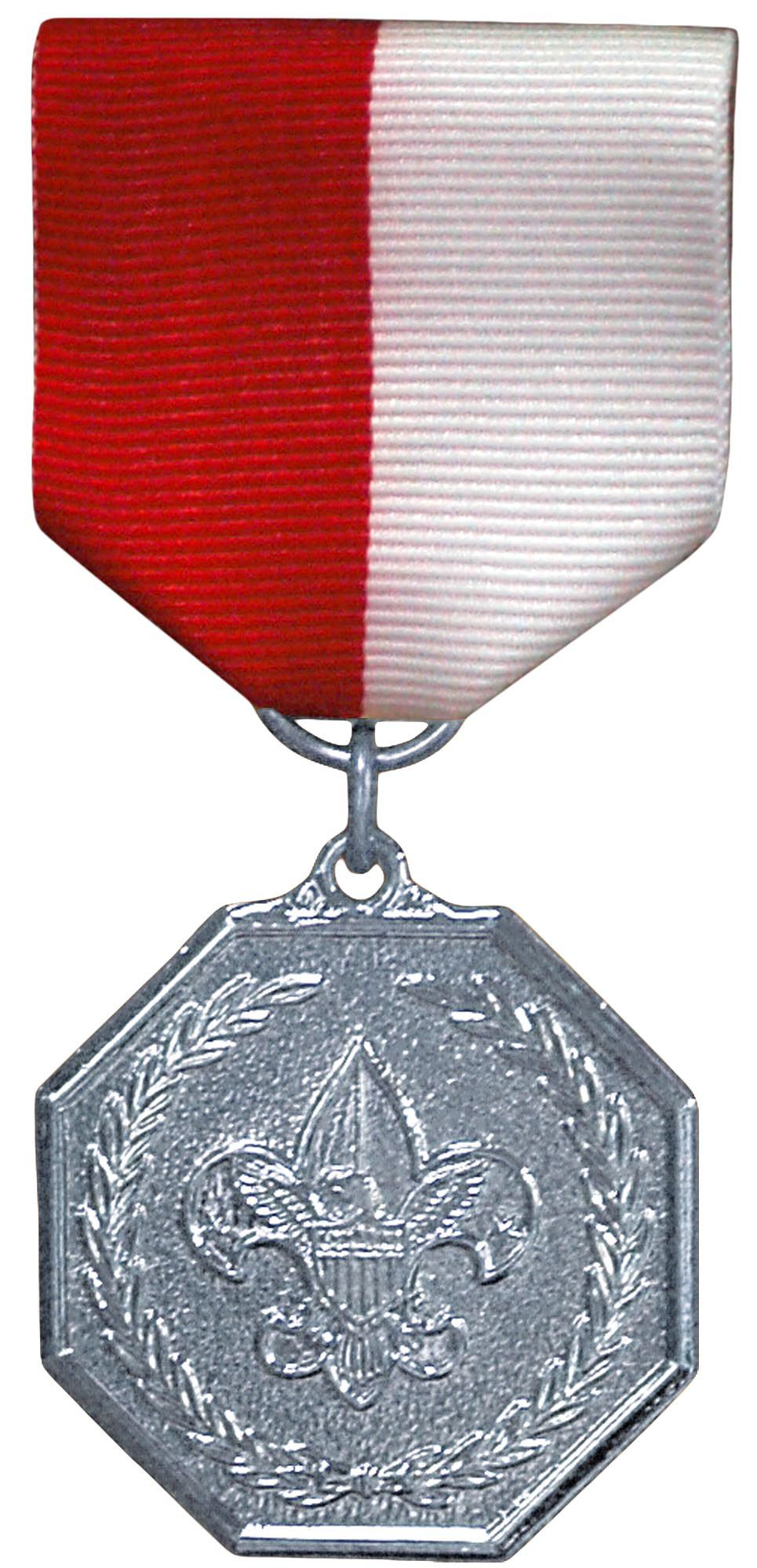 Scouts BSA Silver Medal