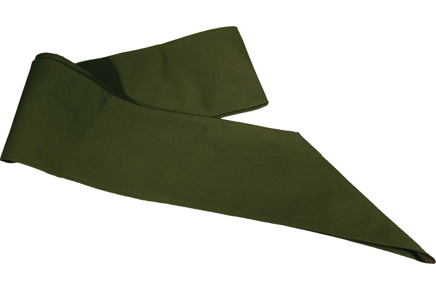 Scouts BSA Merit Badge Sash,40"