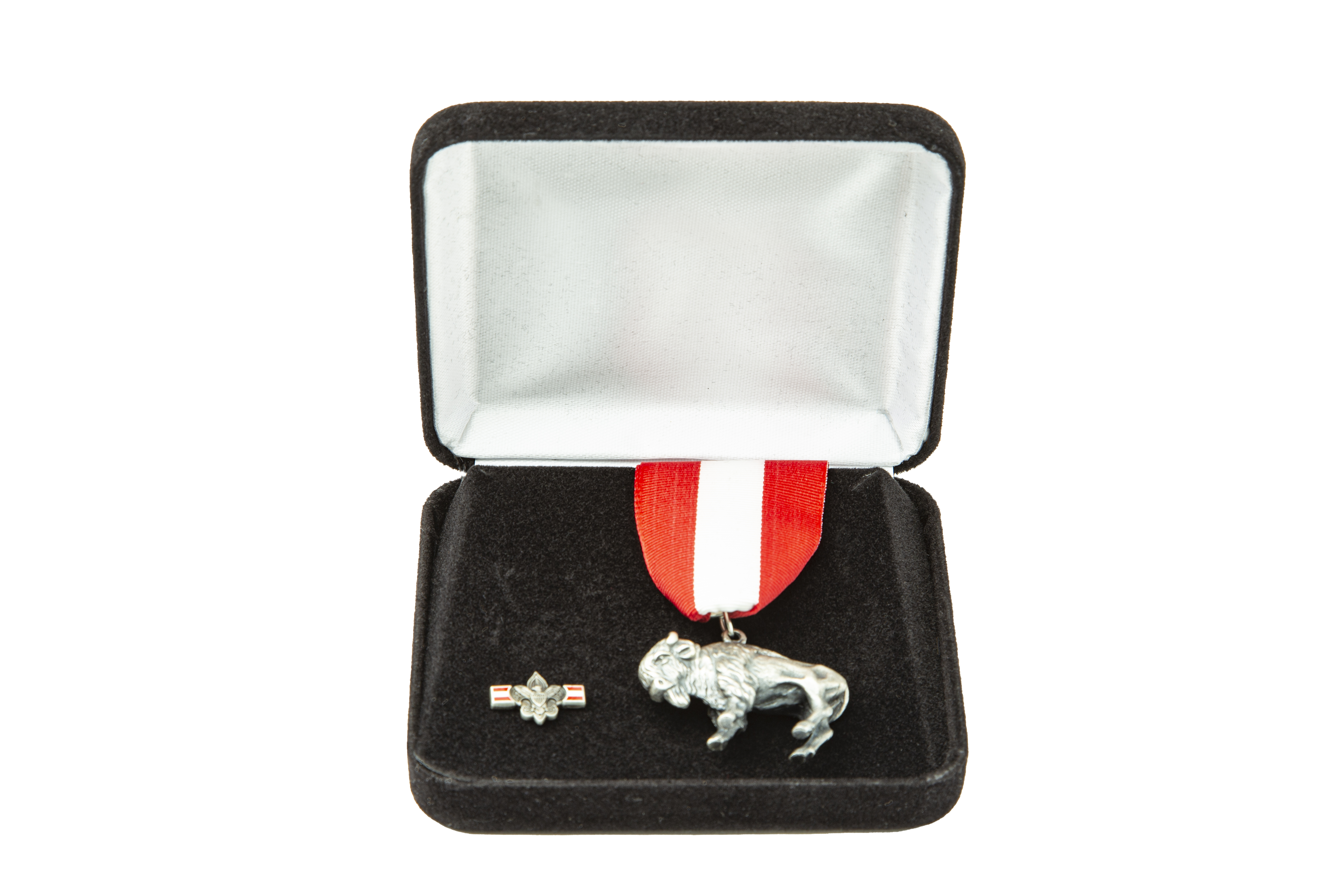 Silver Buffalo Award Kit