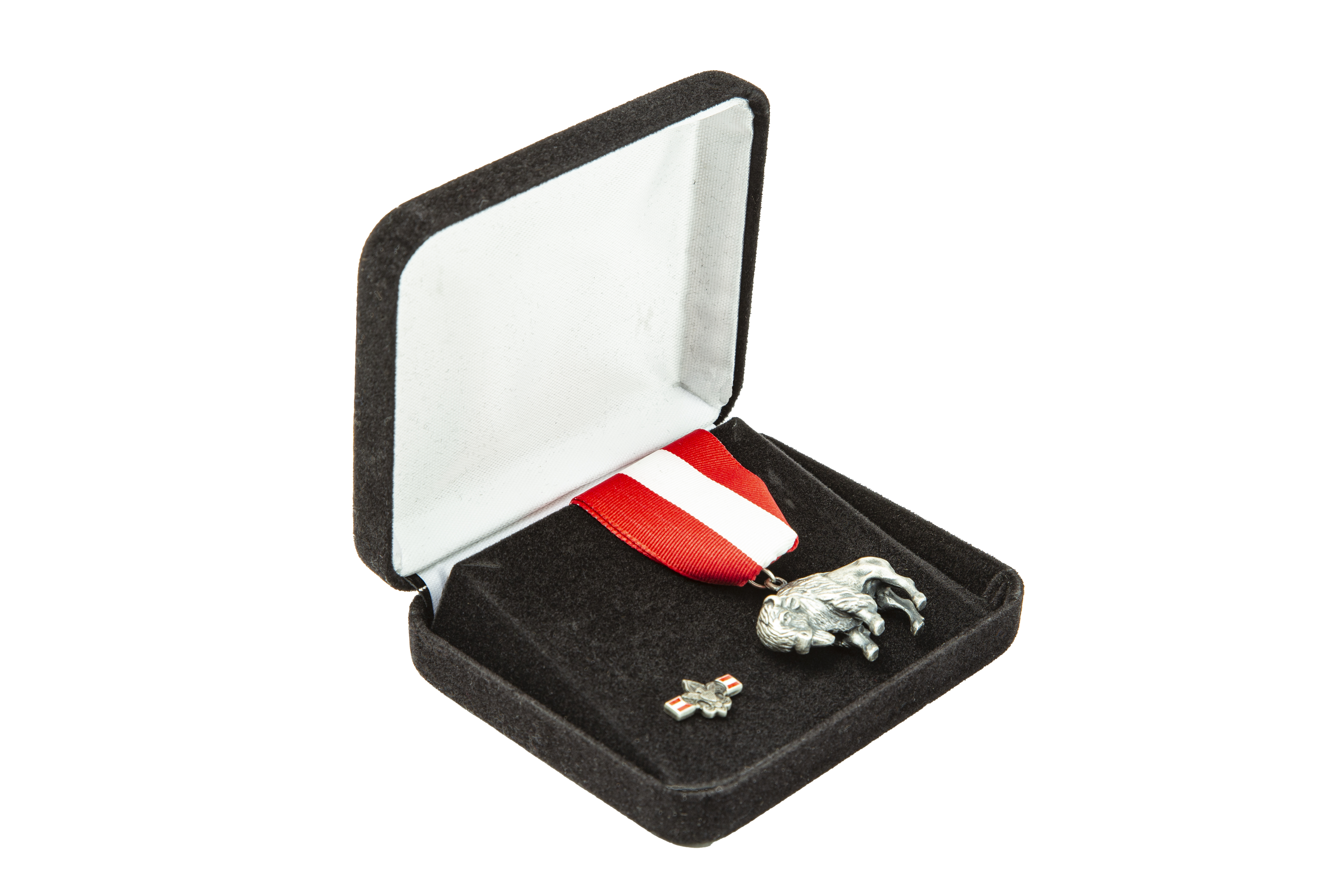 Silver Buffalo Award Kit