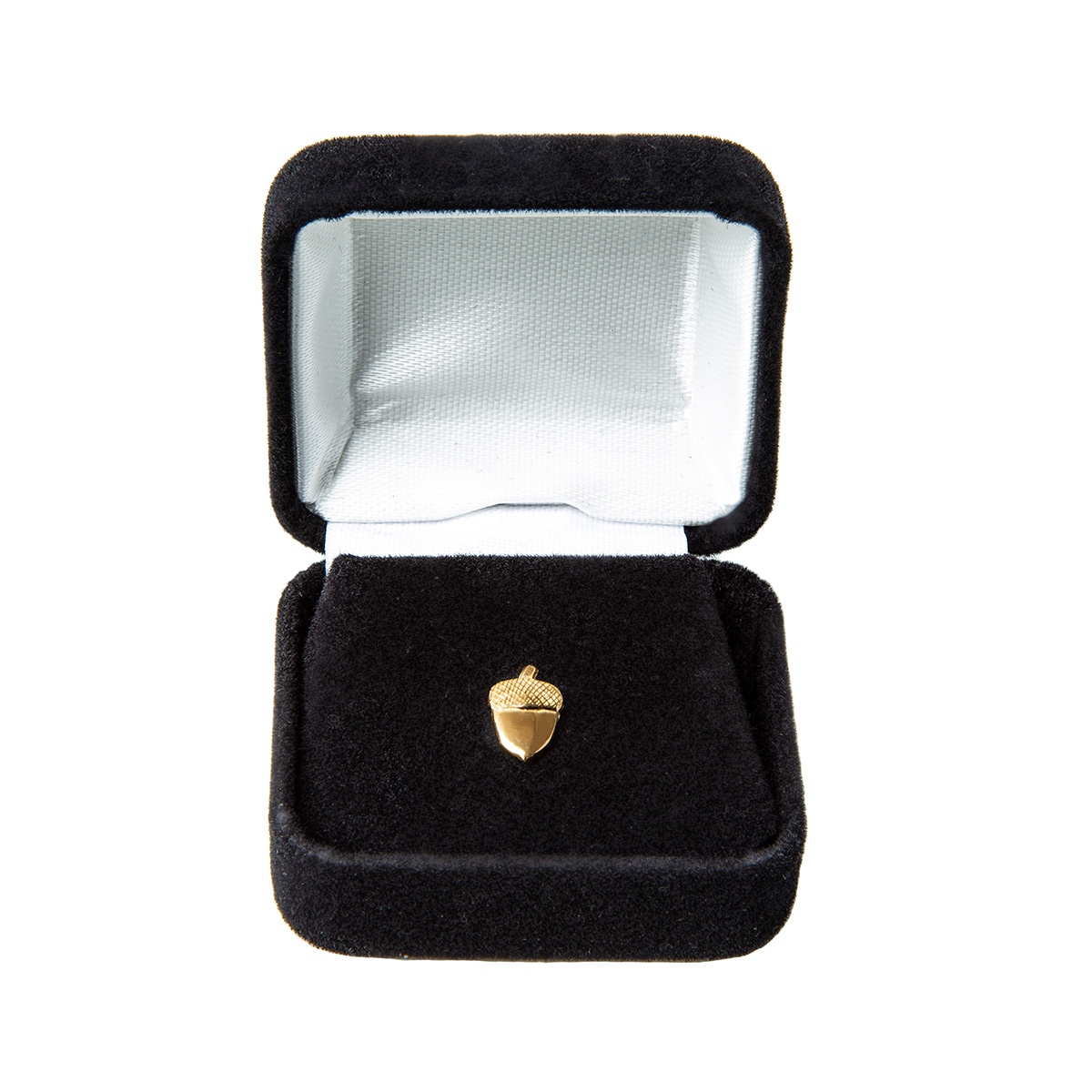 Alumnus of the Year Bronze Acorn Knot Device