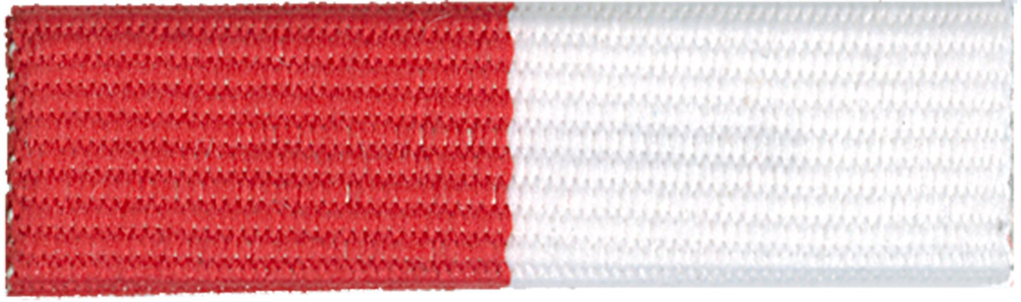Emergency Preparedness Exploring Ribbon