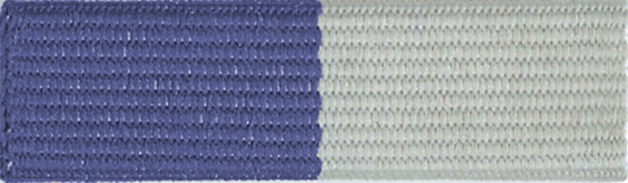 Exploring Drug Abuse Prevention Ribbon