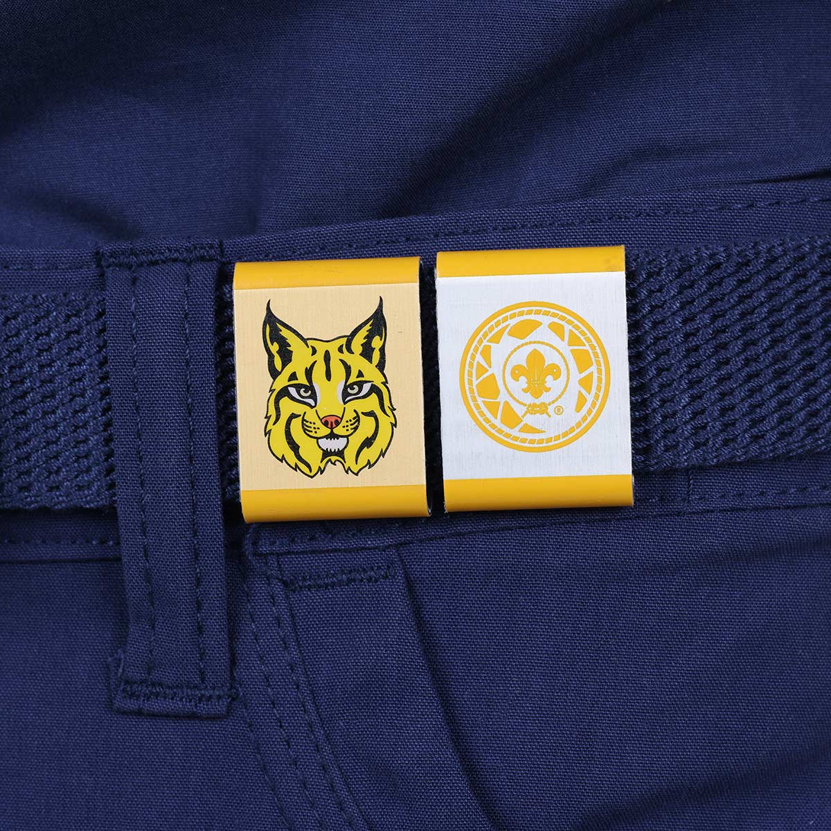 Cub Scout Lion Core Adventure Loop - Bobcat - Lion