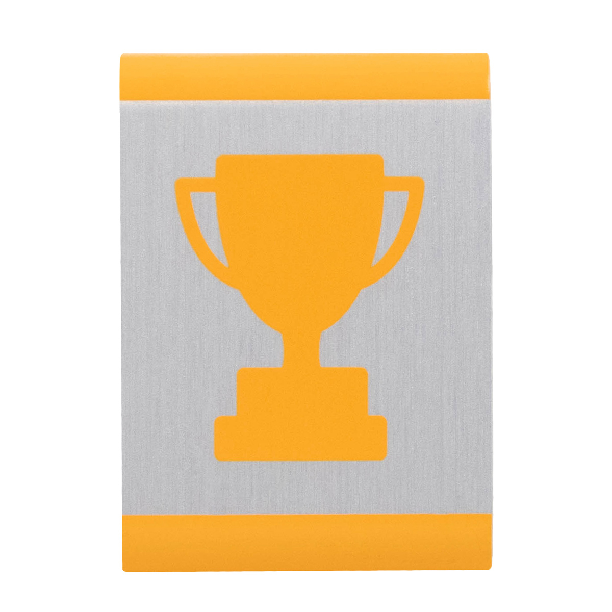 Cub Scout Lion Elective Adventure Loop - Race Time