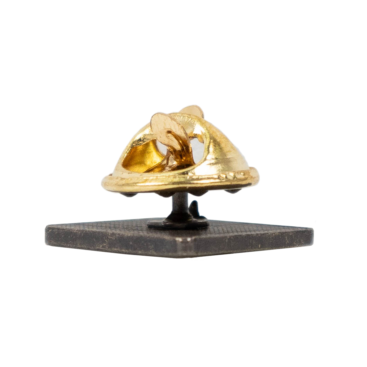 Cub Scout Webelos Core Adventure Pin - My Community