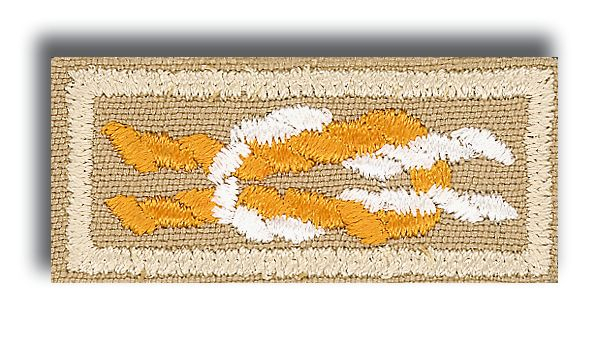 Silver Antelope Award Knot
