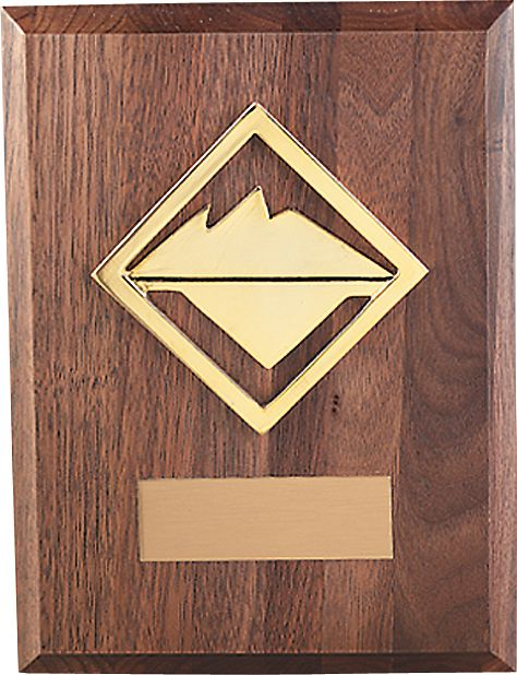 Venturing Plaque