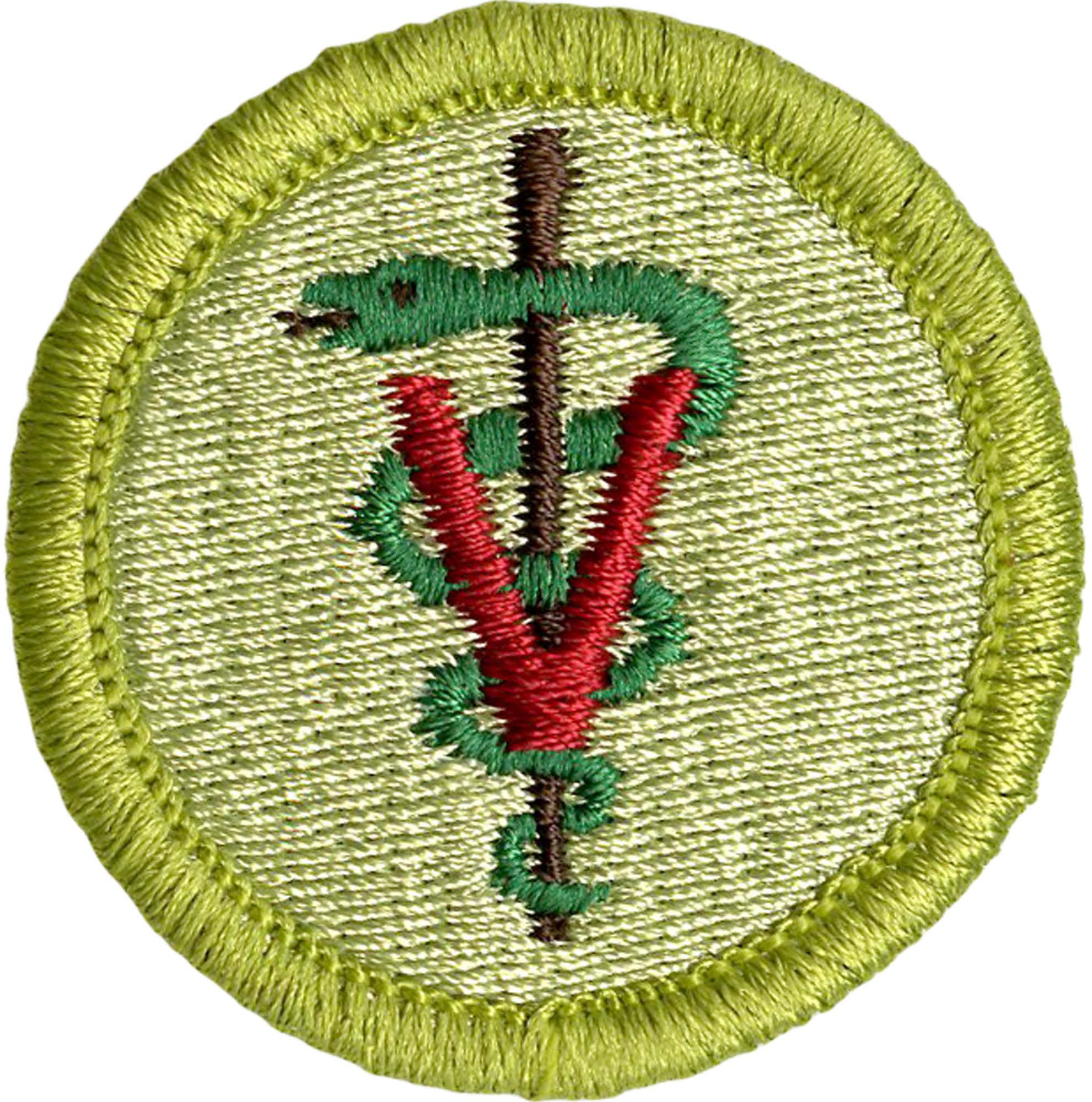 Veterinary Medicine Merit Badge Emblem