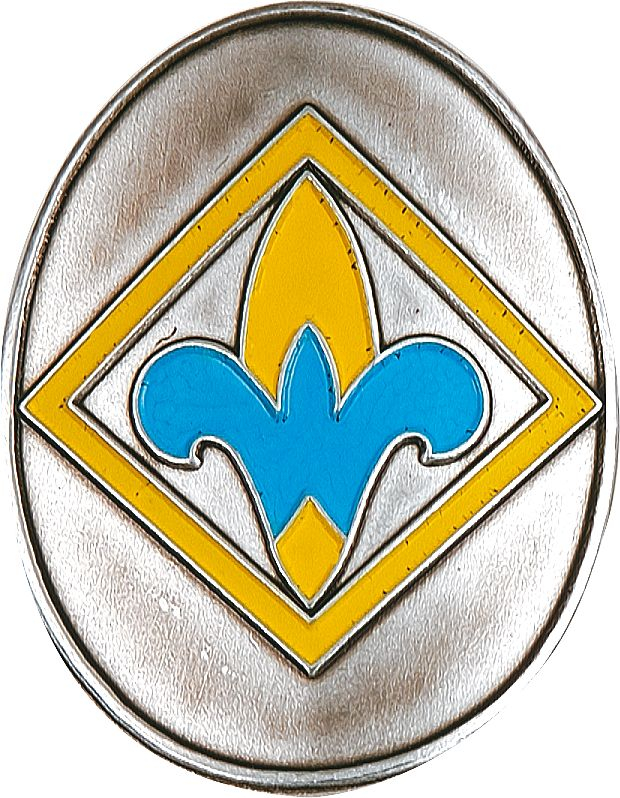 Cub Scout Webelos Rank Hiking Staff Shield