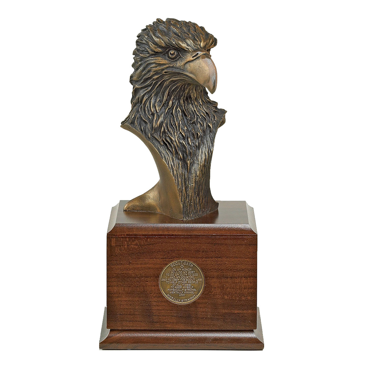 Bronze-Finish Eagle With Coin