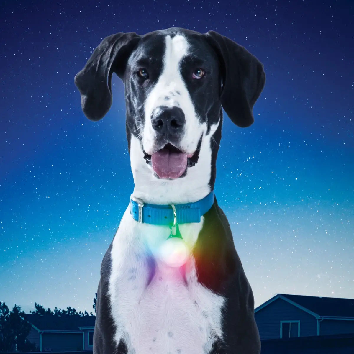 Nite Ize SpotLit XL Rechargeable Collar Light DiscO Select 6 Nite Ize SpotLit XL Rechargeable Collar Light DiscO Select