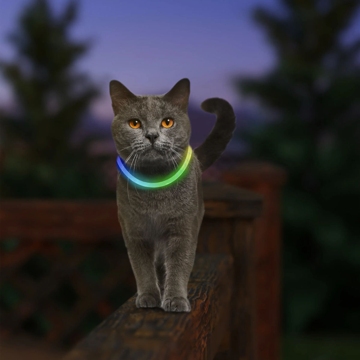 Nite Ize NiteMeow Rechargeable LED Safety NecklaceDisc-O Select