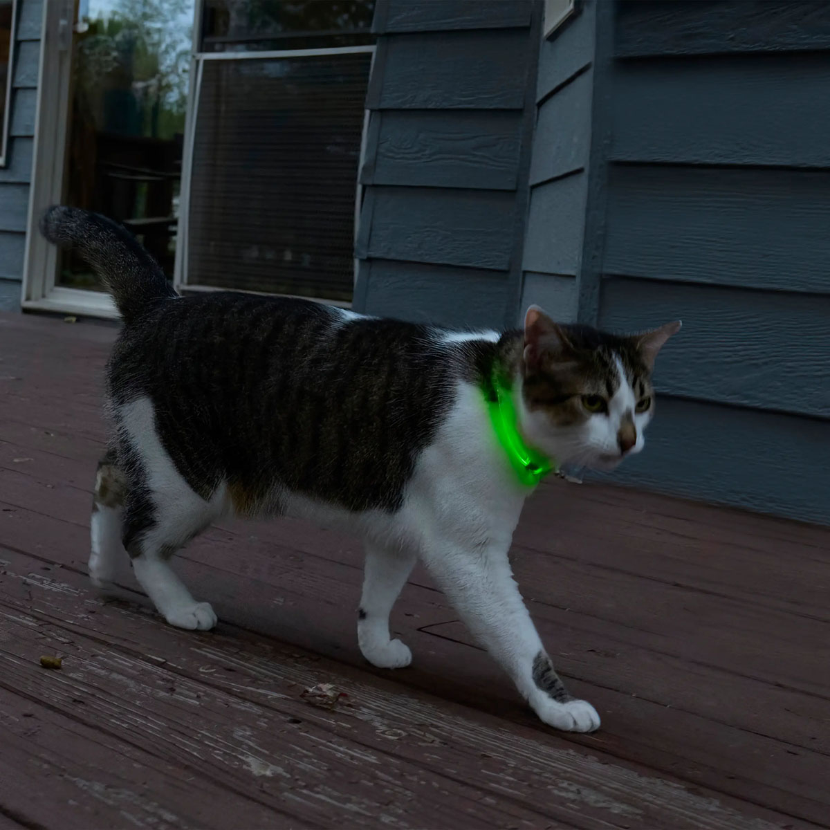 Nite Ize NiteMeow Rechargeable LED Safety NecklaceDisc-O Select