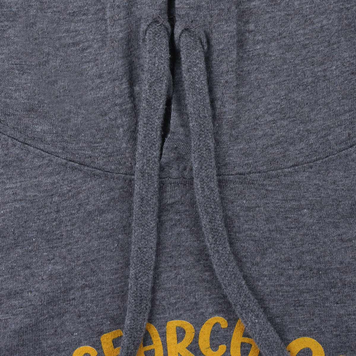 Always In Search of the Next Adventure Hoodie, Gray - Adult S-2XL