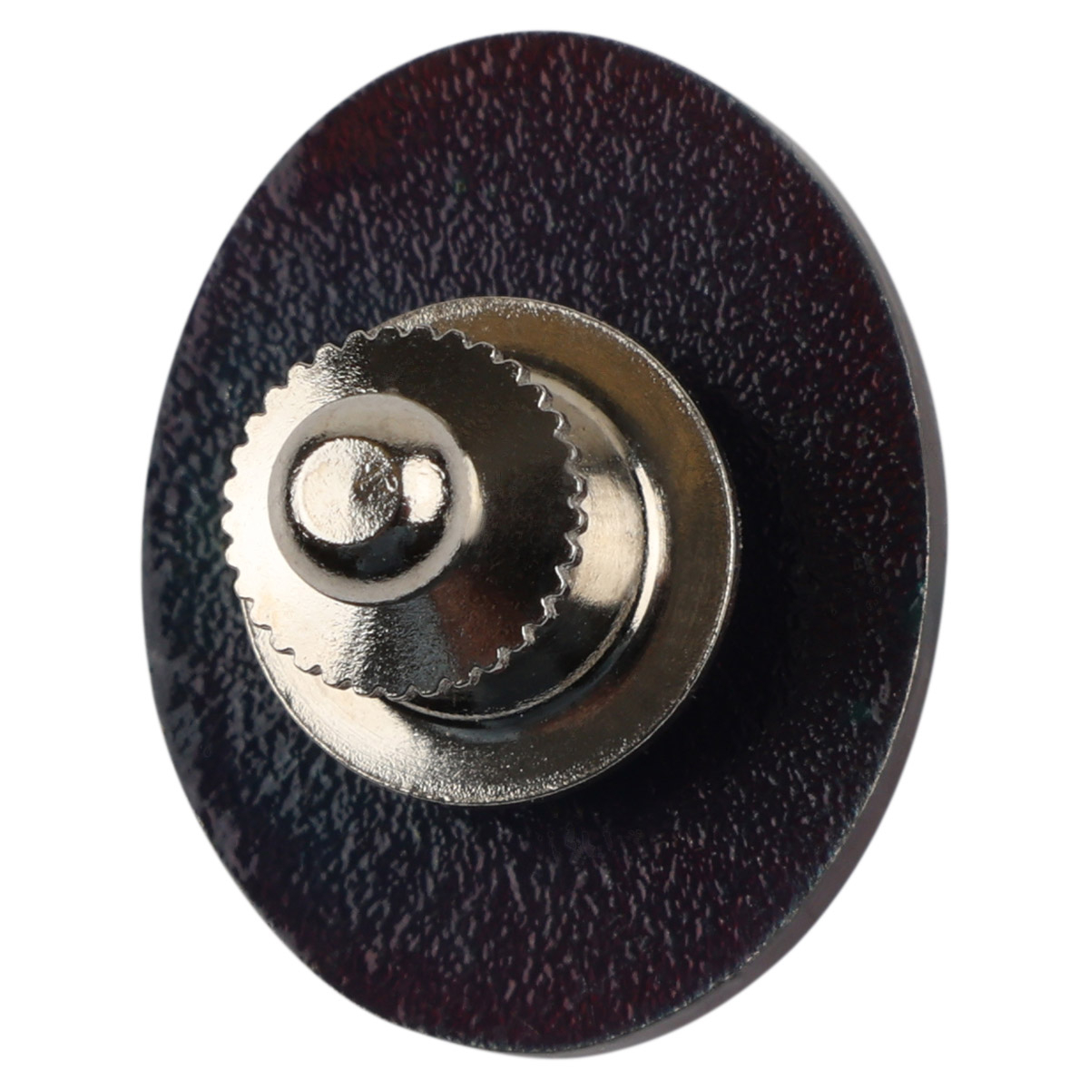 James E. West Fellowship Award Silver Level Pin