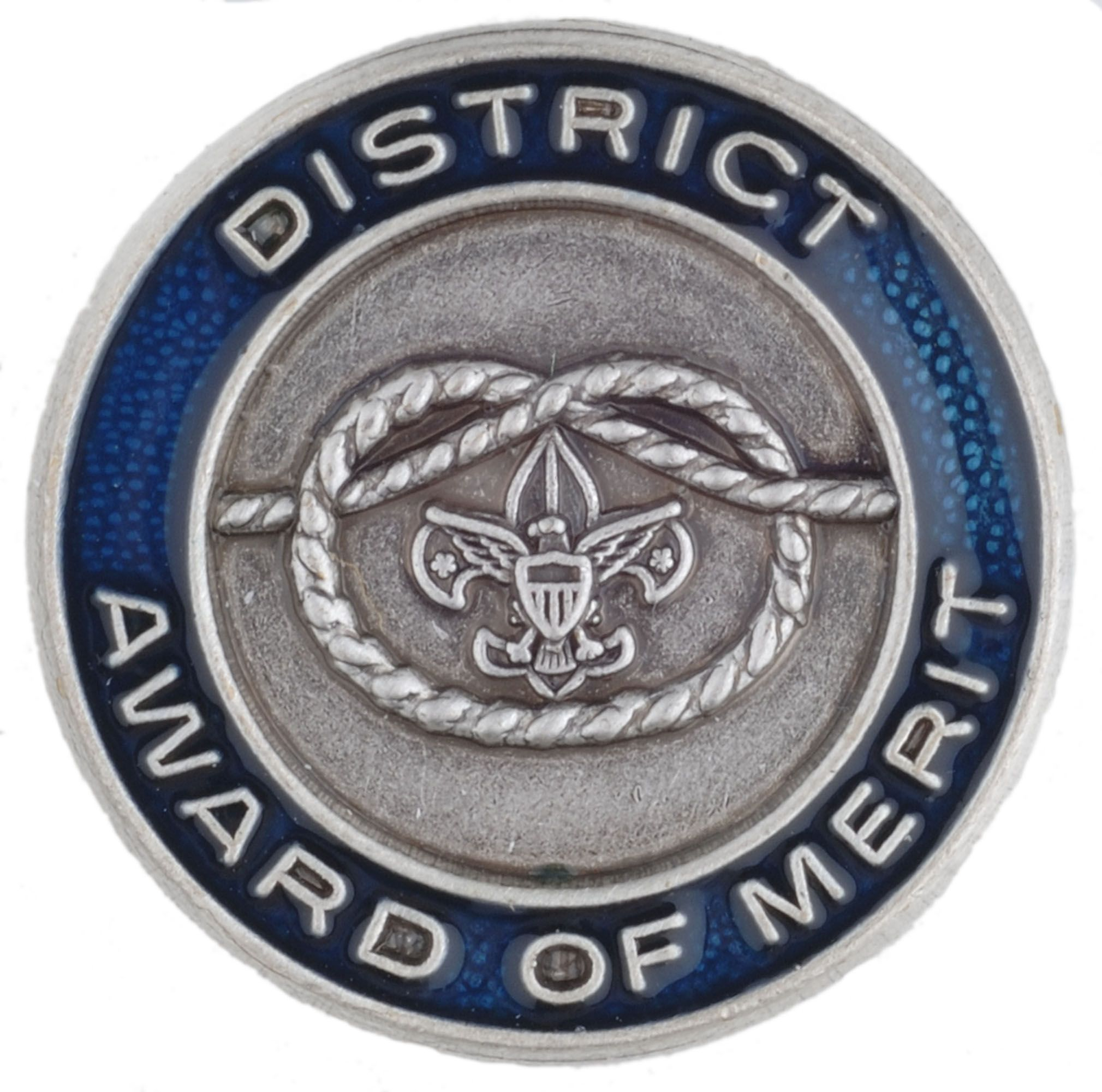 District Award Of Merit Lapel Pin
