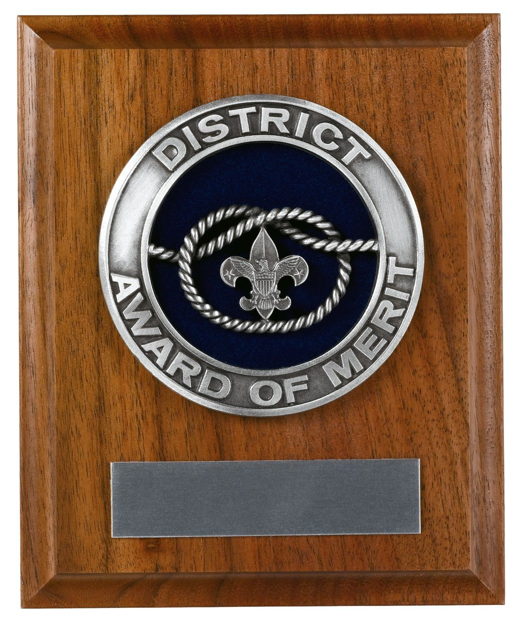District Award of Merit Plaque