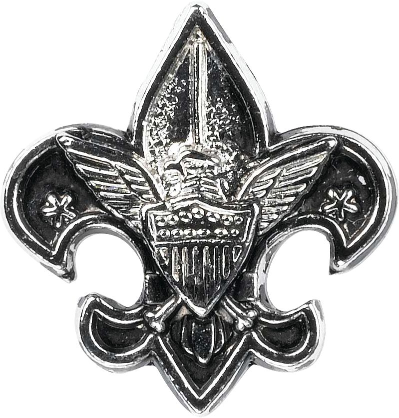 BSA Fleur-de-lis Silvertone Pin 1 BSA Fleur-de-lis Silvertone Pin