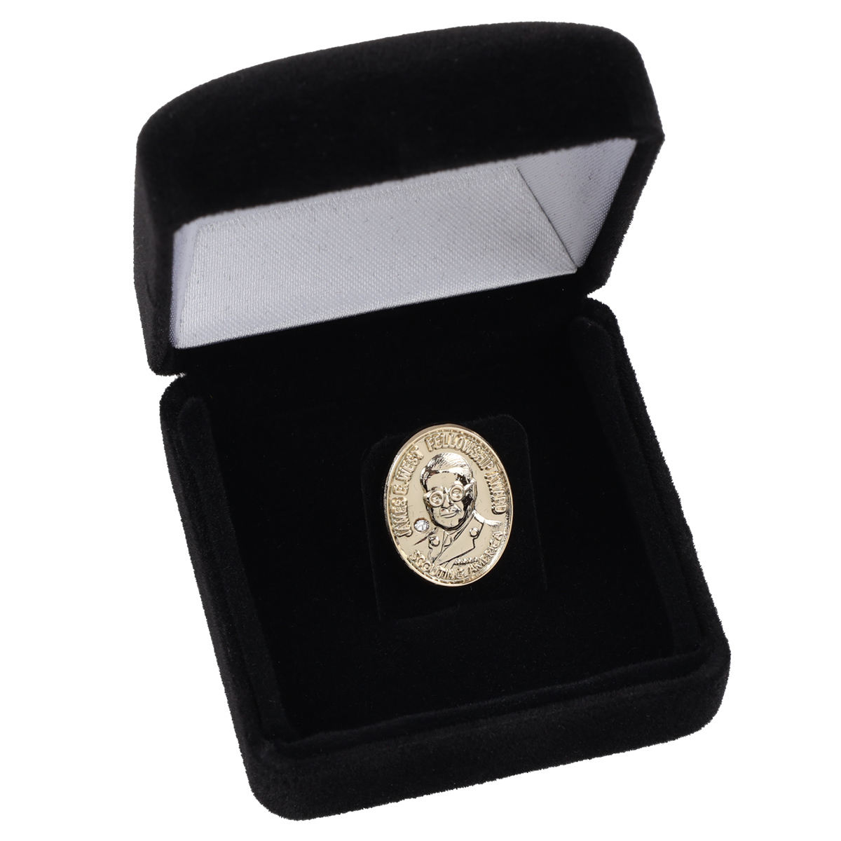 James E. West Fellowship Award Diamond Level Pin