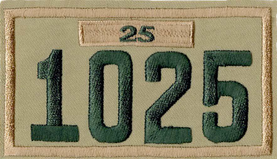 Four-digit Custom Unit Numeral with Veteran Bar