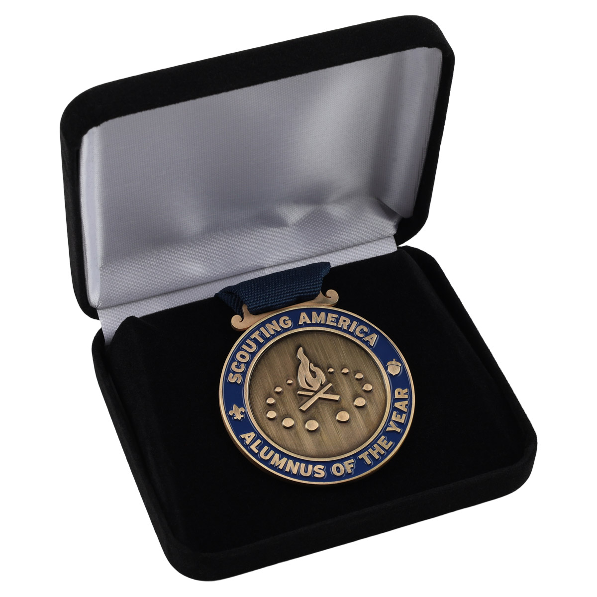 Alumnus of The Year Council Medal Award