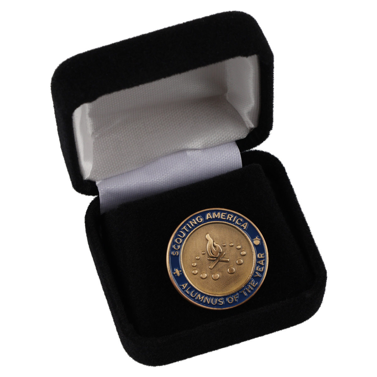 Alumnus Of The Year Council Pin Award