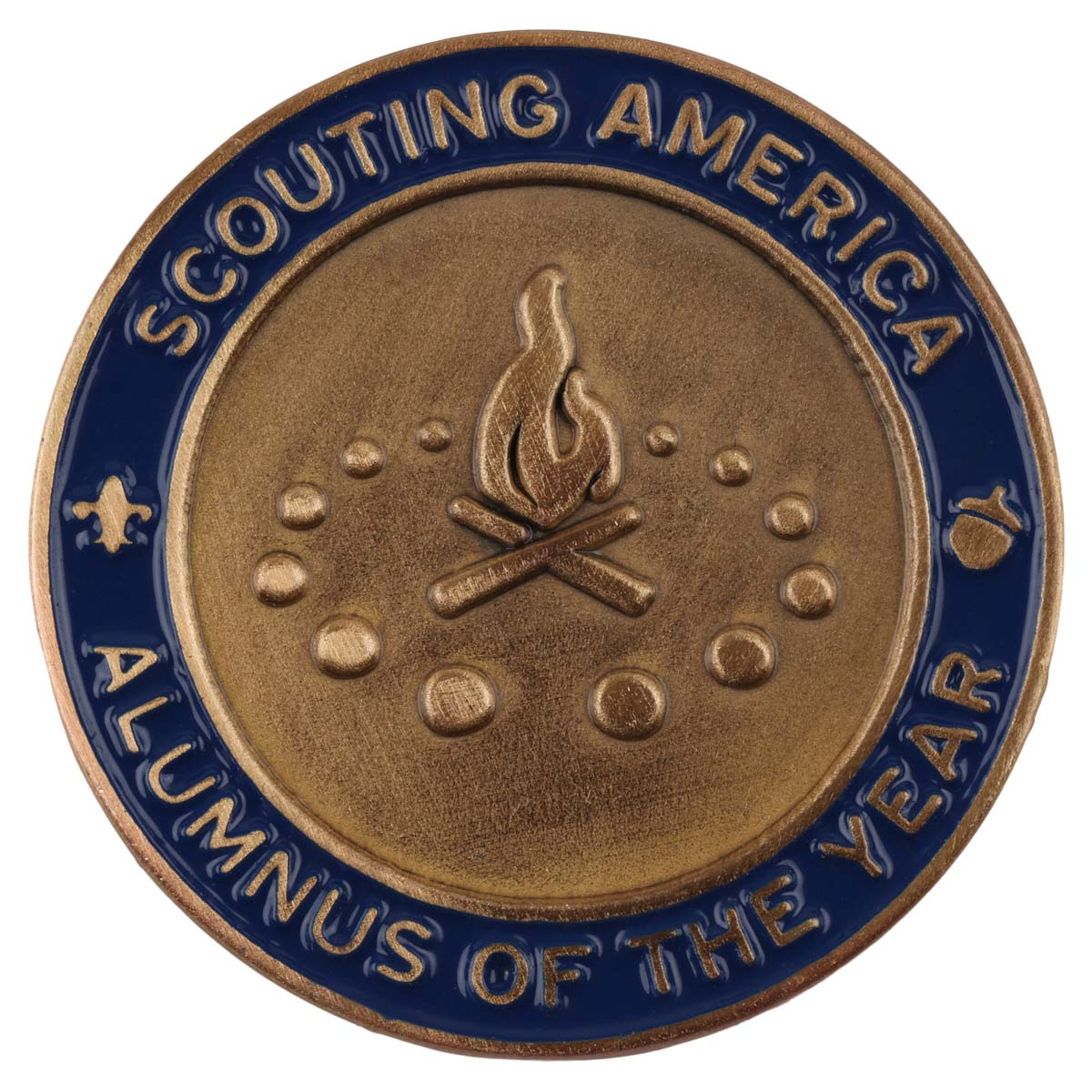 Alumnus Of The Year Council Pin Award