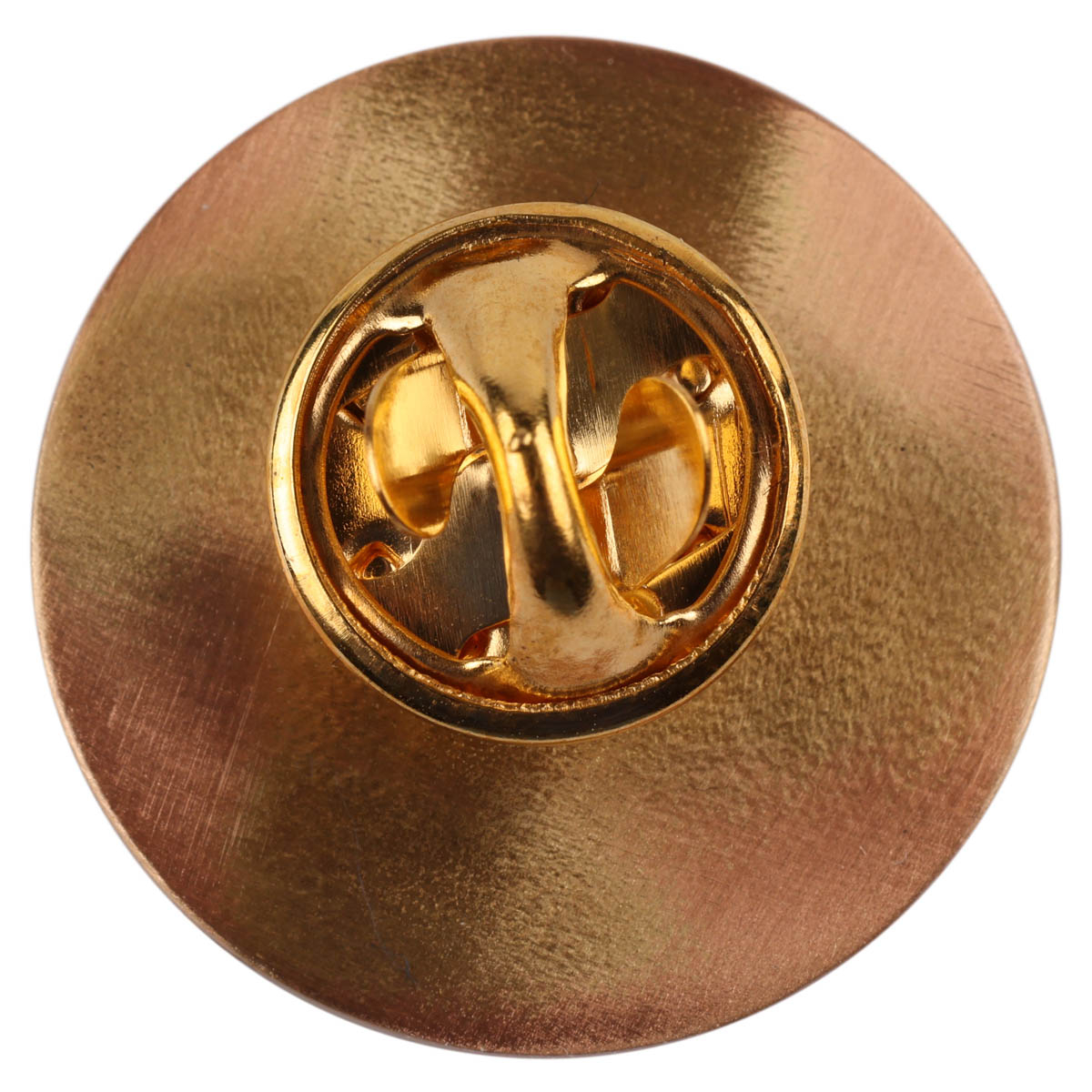 Alumnus Of The Year Council Pin Award