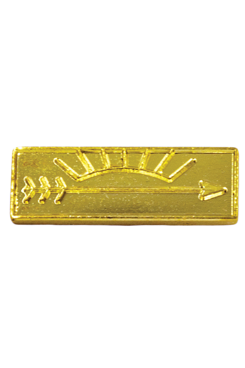 Arrow of Light Rank Parent Pin