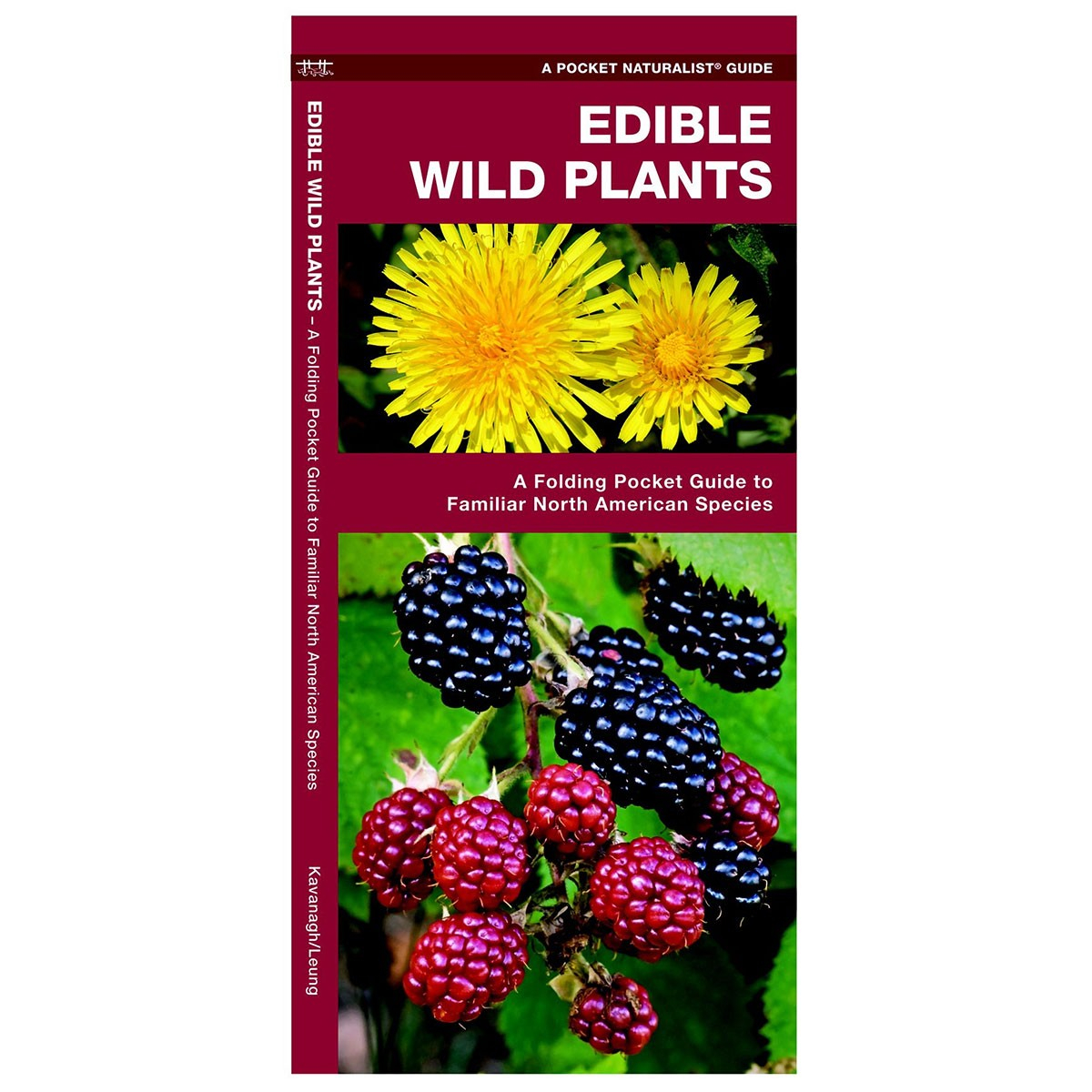 Pocket Naturalist Guide to Edible Wild Plants