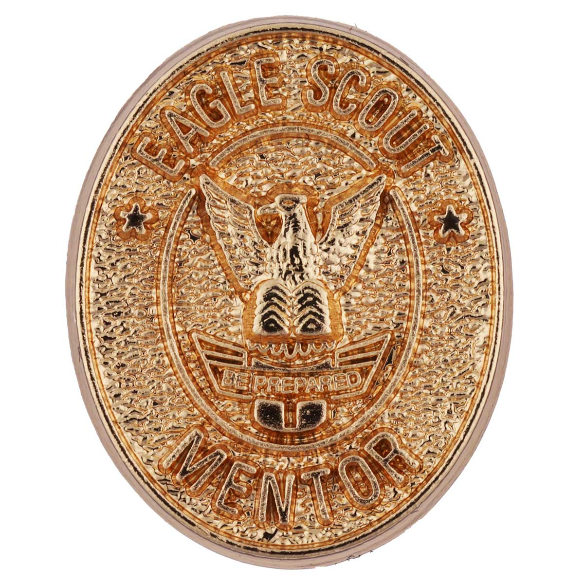 Scouting America Eagle Scout Award Kit with Antique Finish 8 Scouting America Eagle Scout Award Kit with Antique Finish