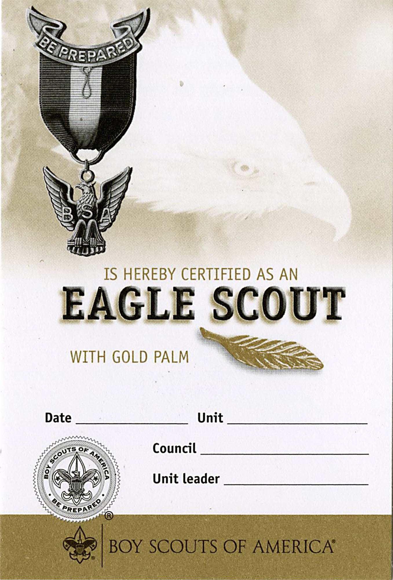 Eagle Scout Gold Palm Certificate