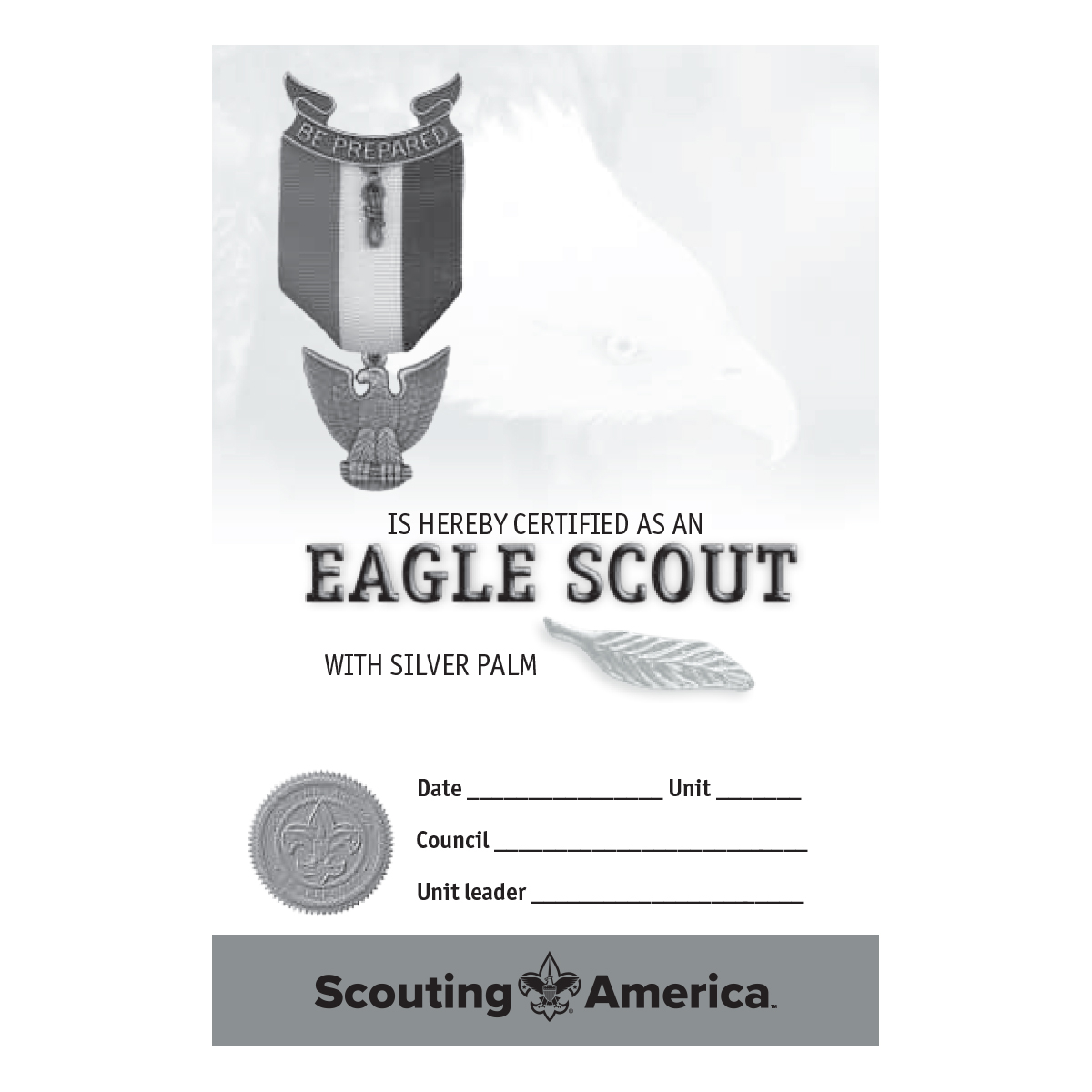 Eagle Scout Silver Palm Pocket Certificate