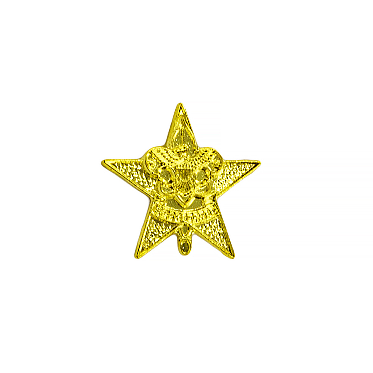Scouts BSA Star Scout Rank Parent Pin 2 Scouts BSA Star Scout Rank Parent Pin