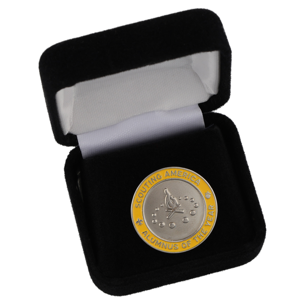 Alumnus Of The Year Region Award Pin