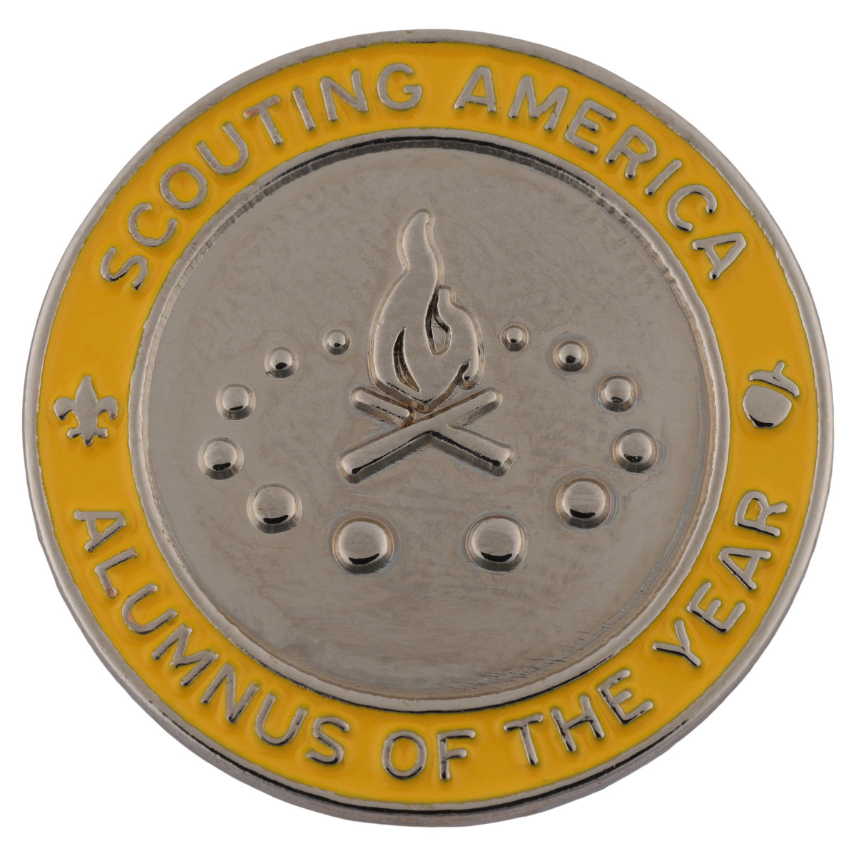 Alumnus Of The Year Region Award Pin