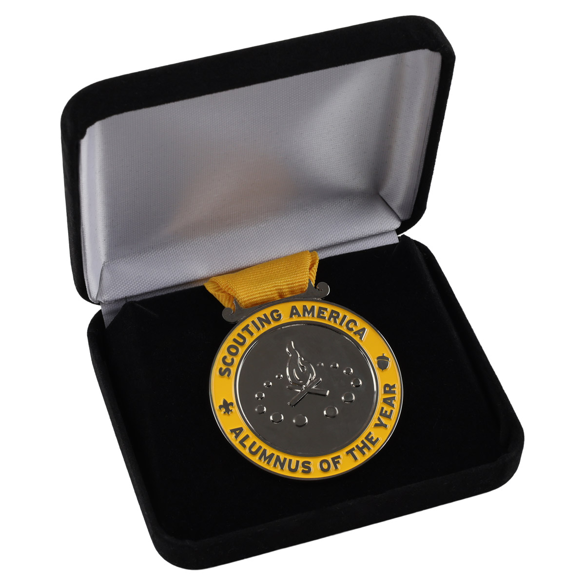 Alumnus Of The Year Region Medal