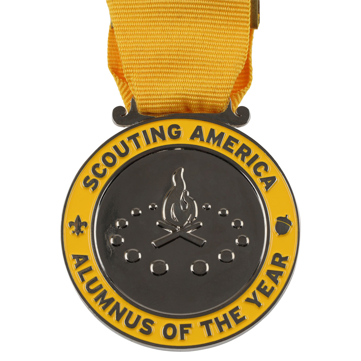 Alumnus Of The Year Region Medal