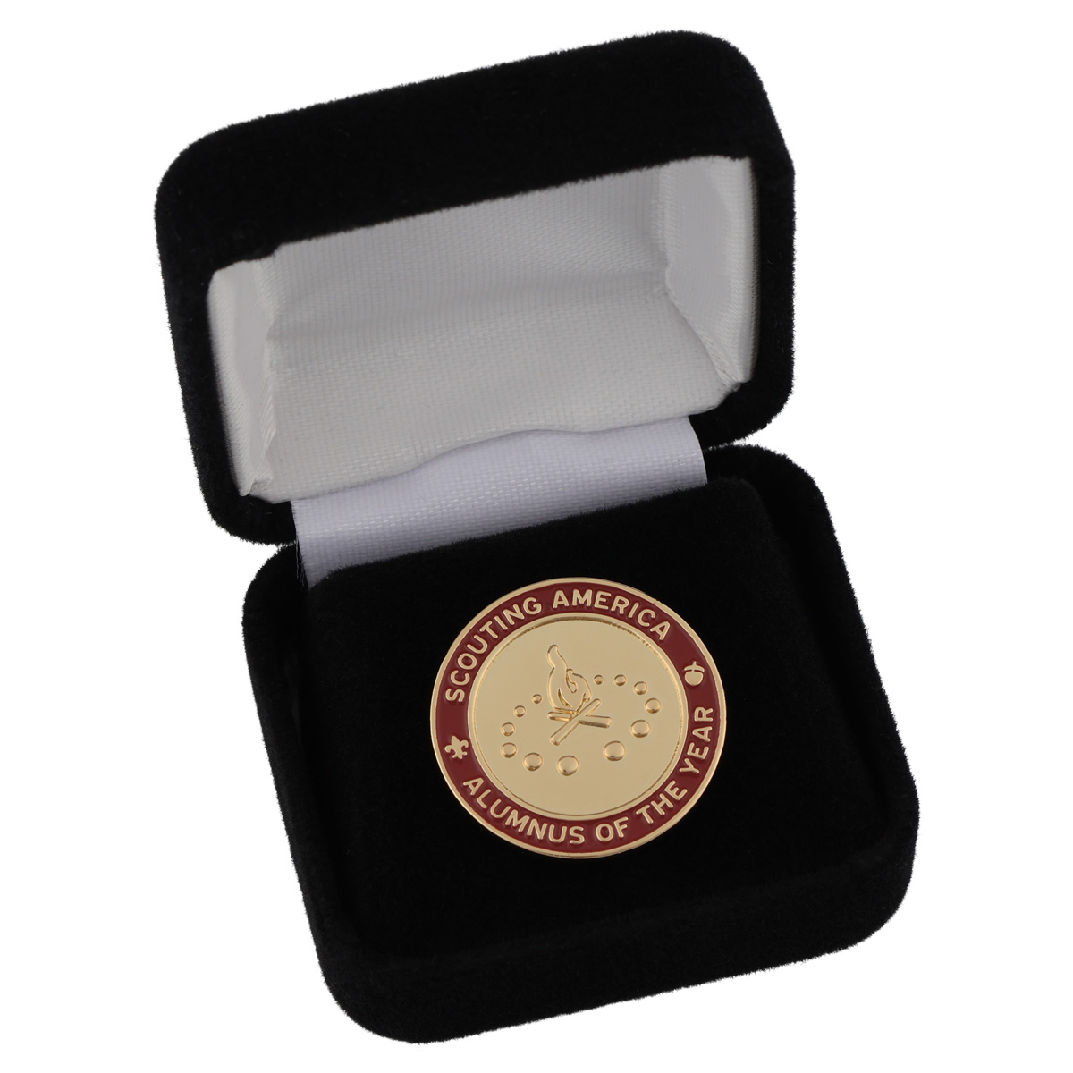 Alumnus Of The Year National Award Pin