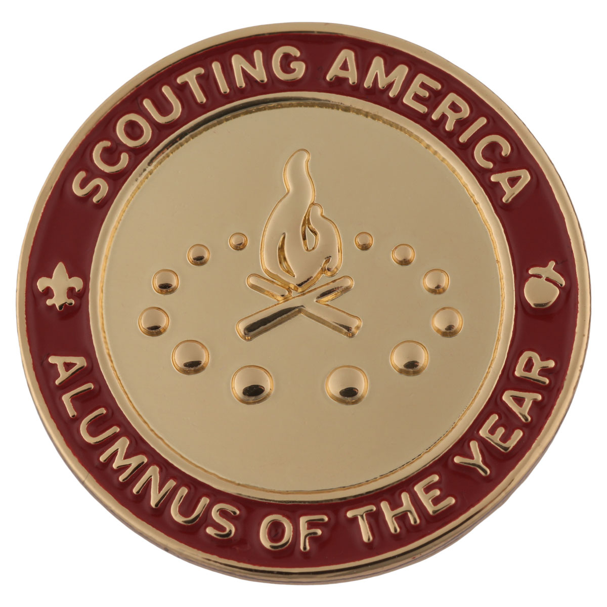 Alumnus Of The Year National Award Pin