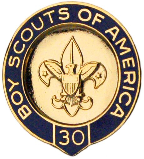BSA Veteran Scouter Pin - 30 Years