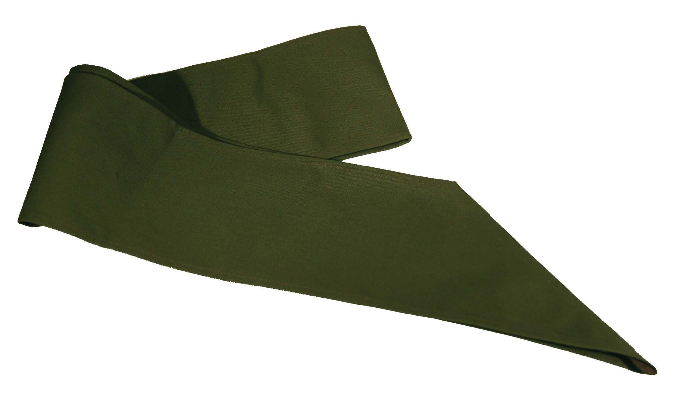 Scouts BSA Merit Badge Sash, 36"