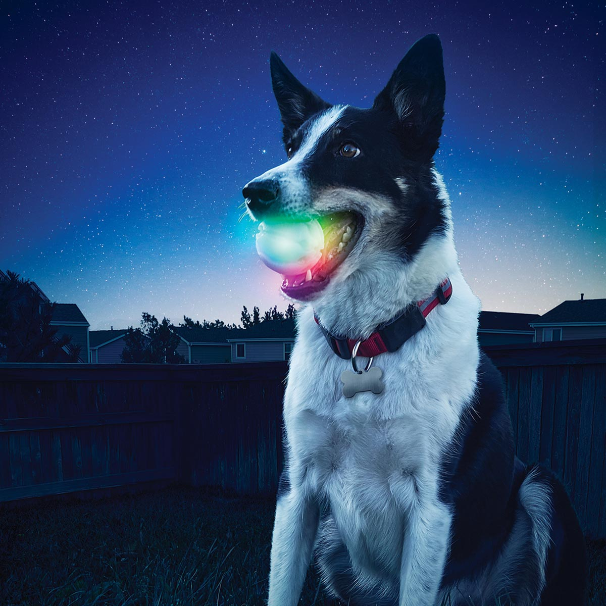 Nite Ize GlowStreak LED Ball Disc-O